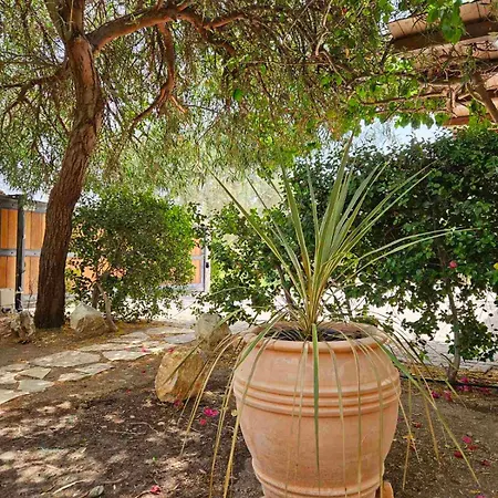 Orestis' Family House Эрмиони Экстерьер фото